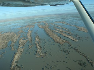 The Flooded Cooper Creek