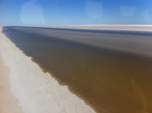 Warburton. Groove, Lake Eyre. May 2012 Warburton. Groove, Lake Eyre. May 2012