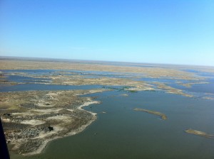 Coongie Lakes Coongie Lakes